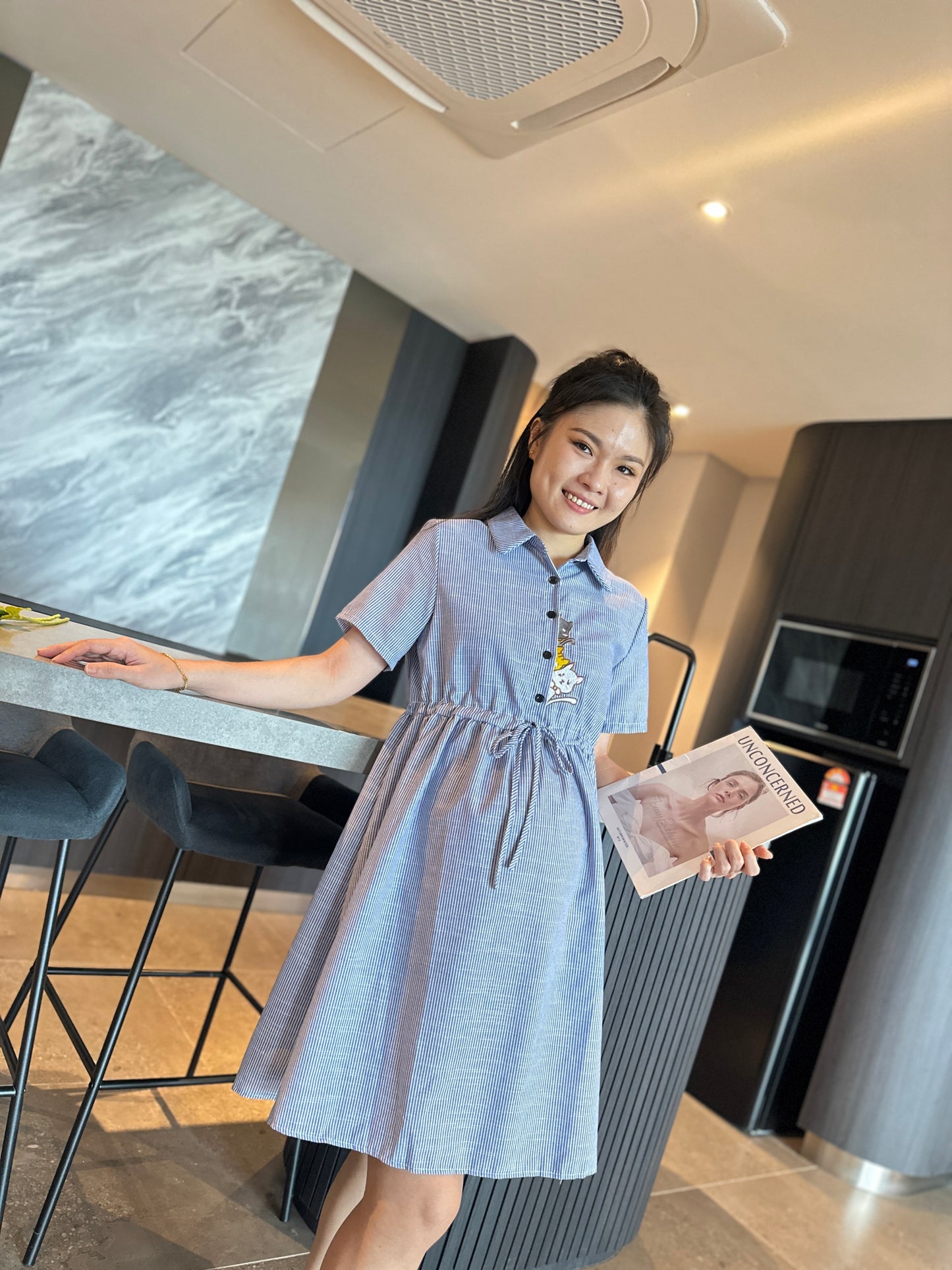 Weyzoe Kitten Blue Stripes Dress