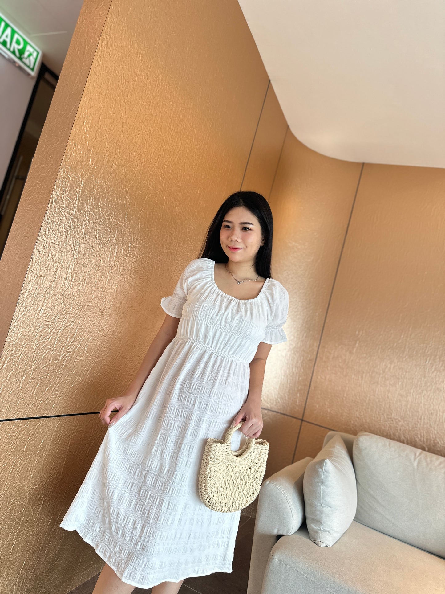 Swanna Elegant Flare Dress