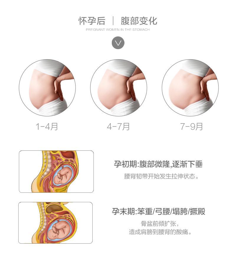 Upper & Lower Support Abdominal Band