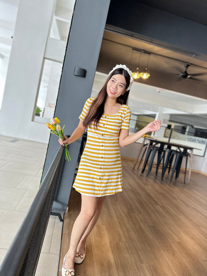 Lovince Lydia Stripes Stretchable Dress