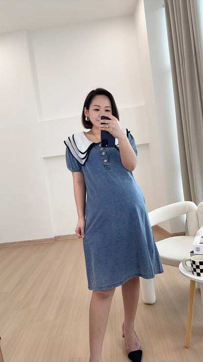 Veo Denim Dress