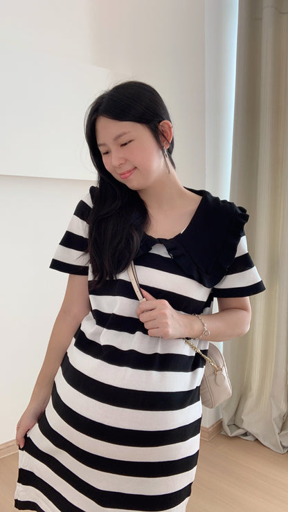 Carla Stripes Knits Dress