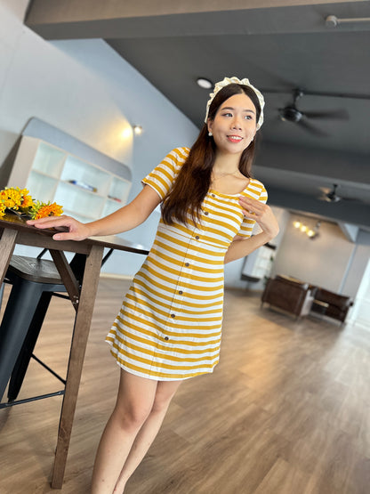 Lovince Lydia Stripes Stretchable Dress