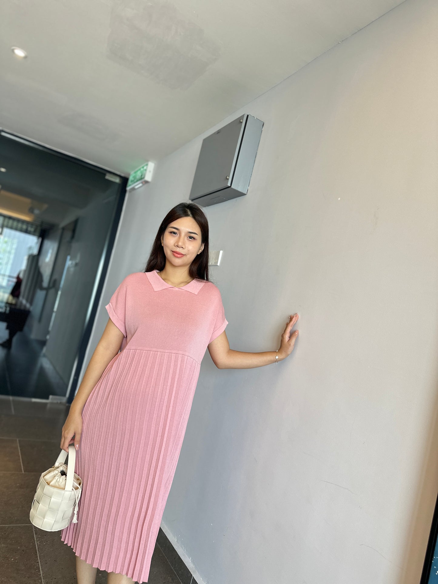 Dion Stretchable Knits Dress