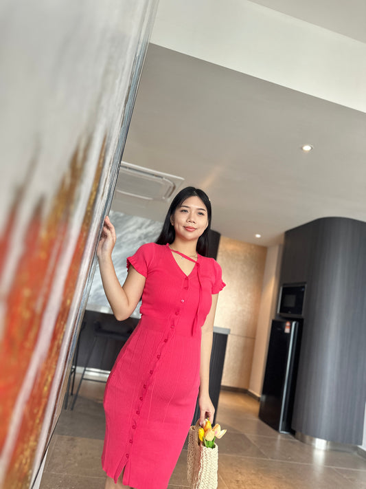 Villin Stretchable Knits Dress