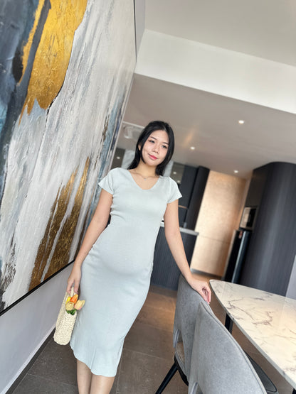 Daphne Fitted Knits Dress