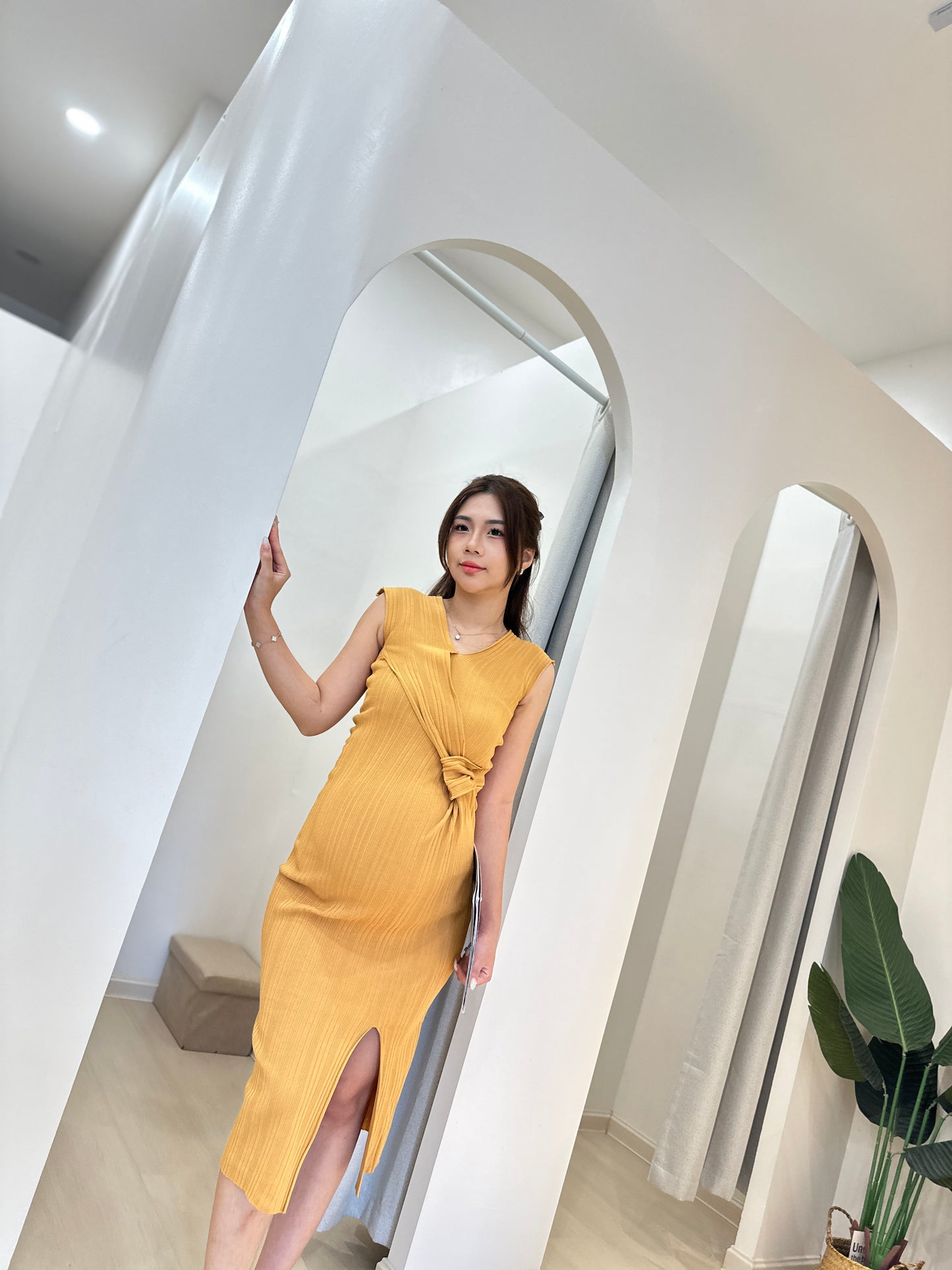 Aemi Fitted Knit Dress