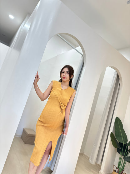 Aemi Fitted Knit Dress