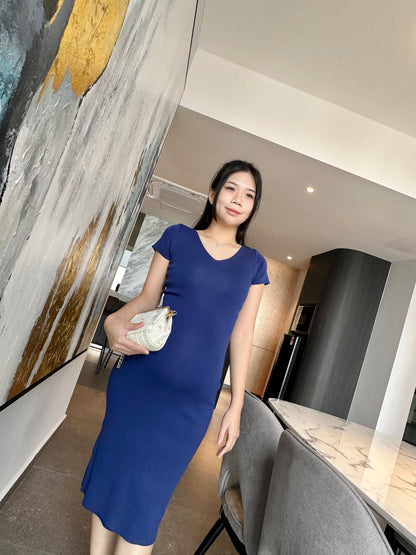 Daphne Fitted Knits Dress