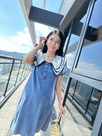 Veo Denim Dress