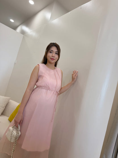 Avelisse Sheer Chiffon Dress