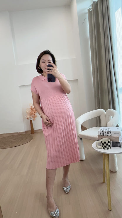 Dion Stretchable Knits Dress