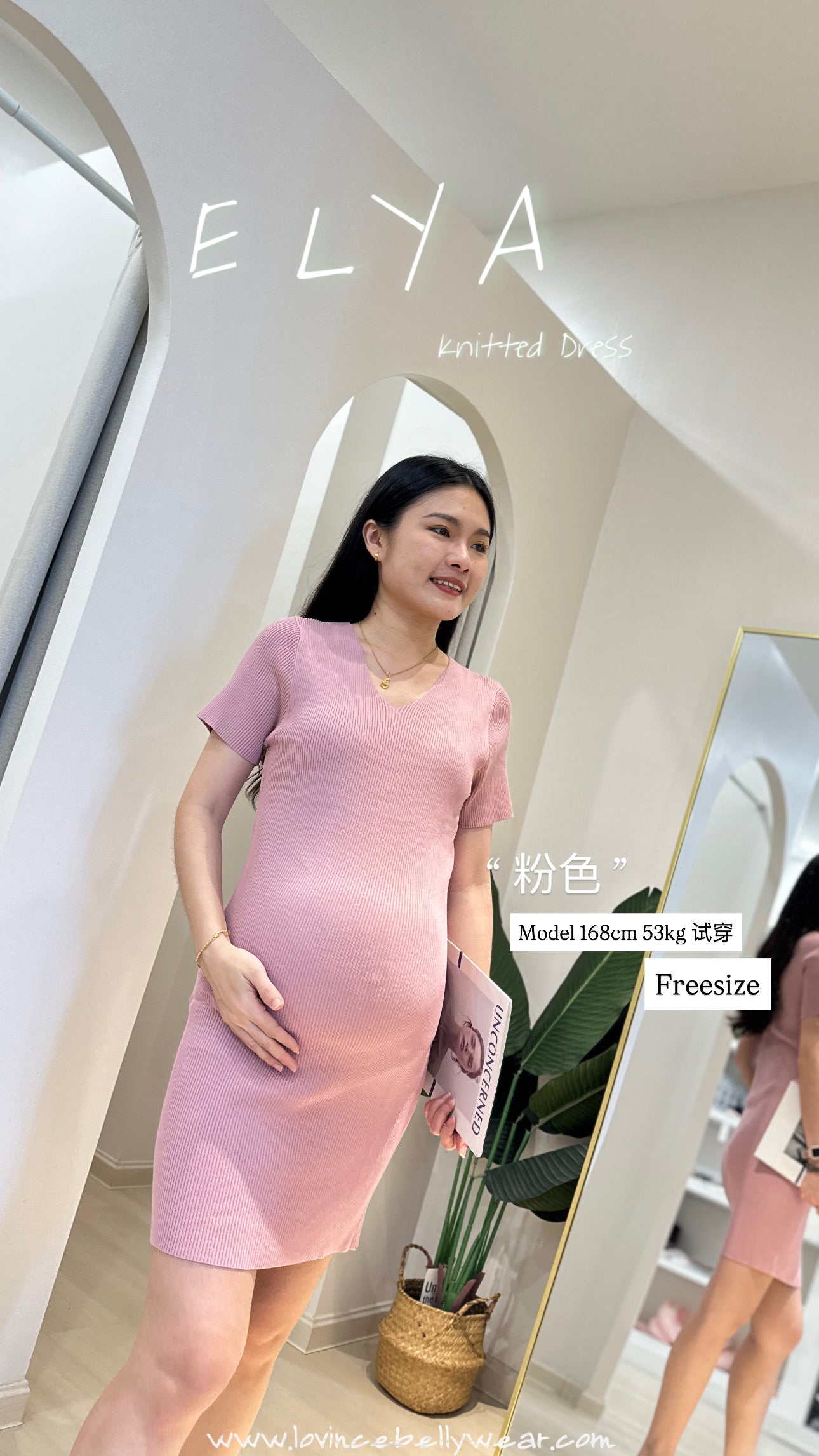 Elya V-Neck Knitted Dress