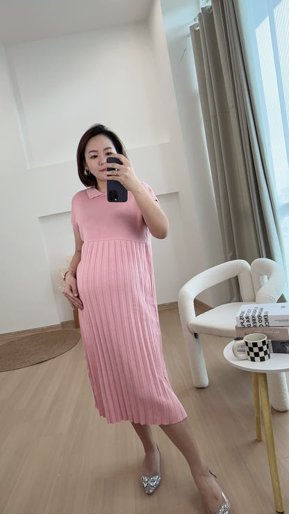 Dion Stretchable Knits Dress