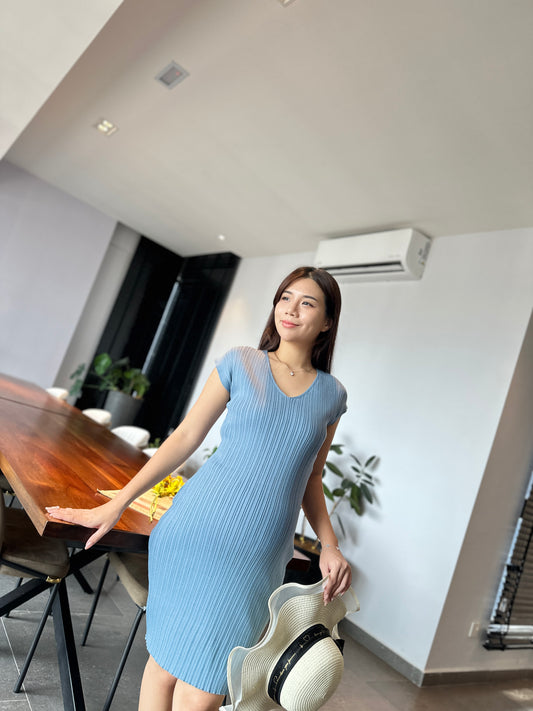Viion Fitted Knits Dress