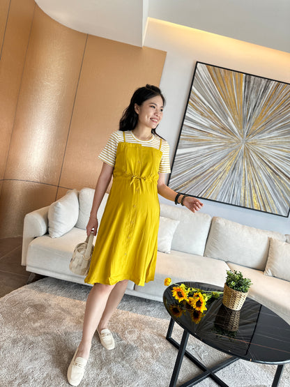 Lizz Mustard Nursing Dress