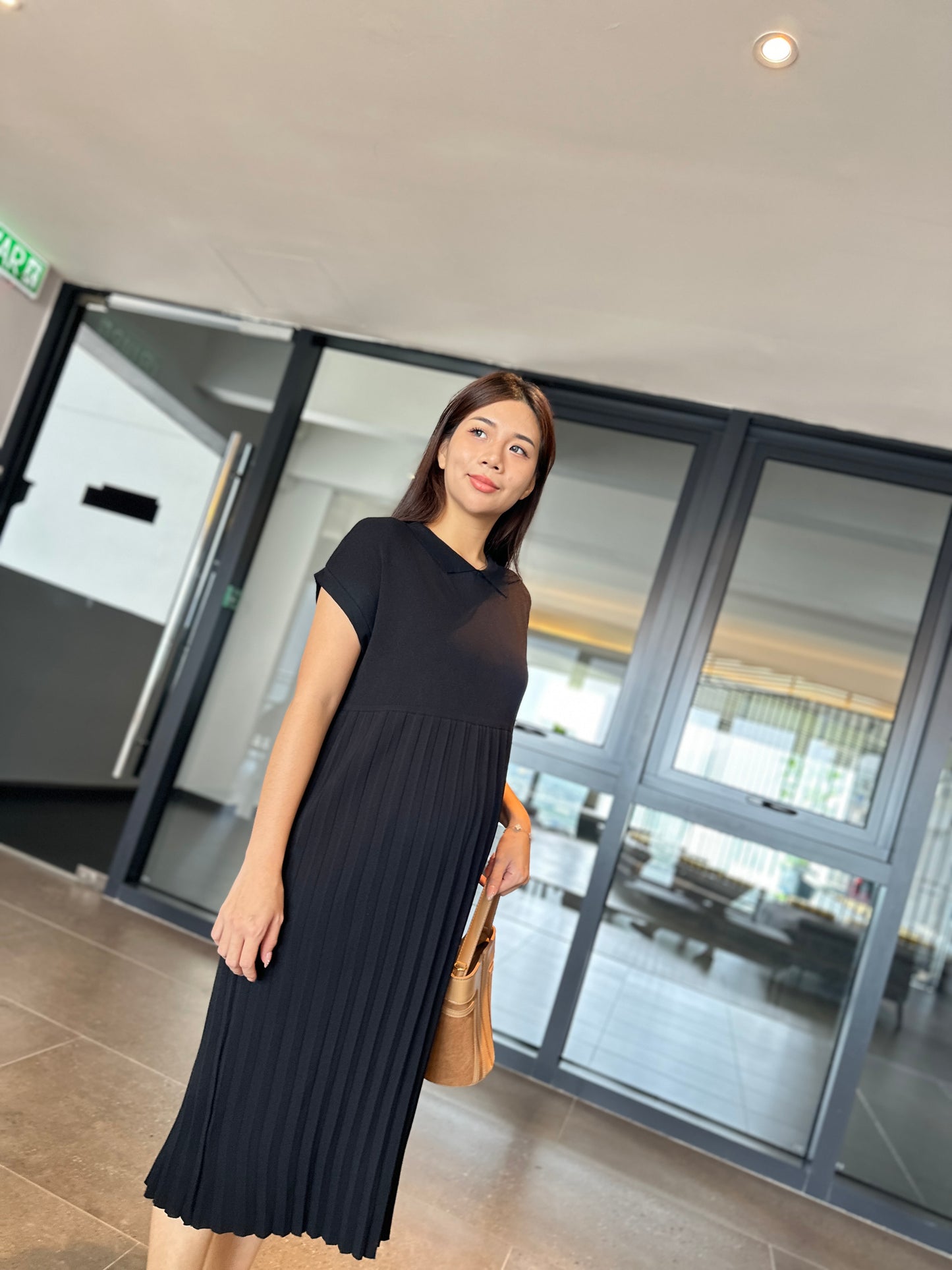 Dion Stretchable Knits Dress