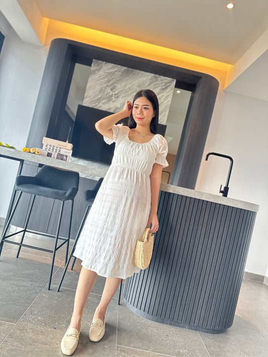 Swanna Elegant Flare Dress