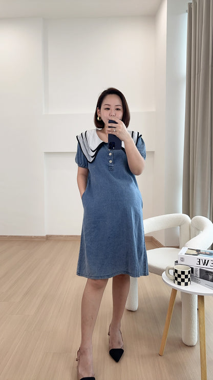 Veo Denim Dress