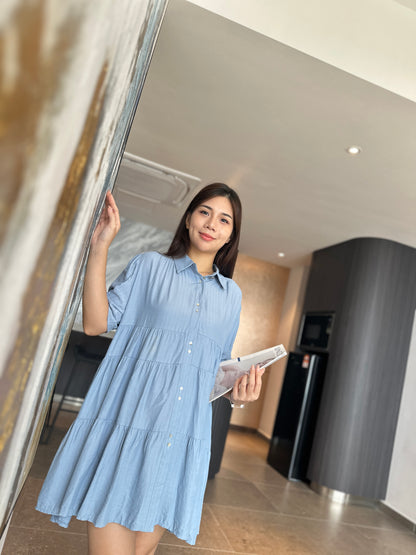 Lrene Button Flare Dress