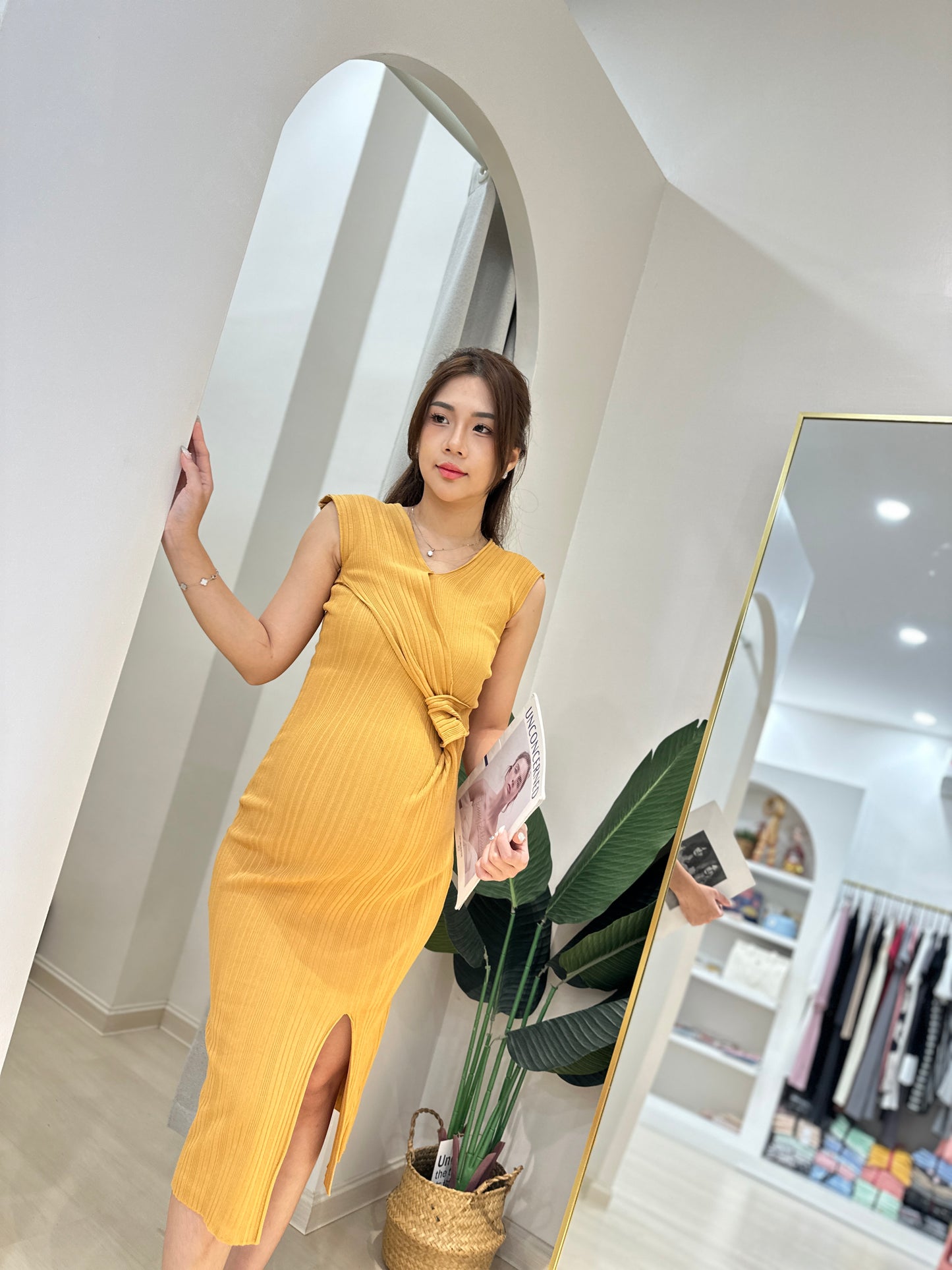 Aemi Fitted Knit Dress