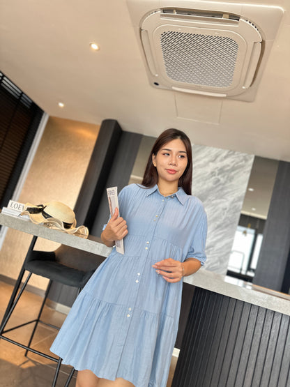 Lrene Button Flare Dress