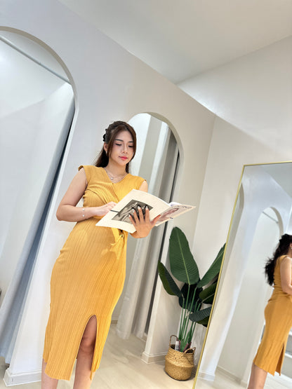 Aemi Fitted Knit Dress