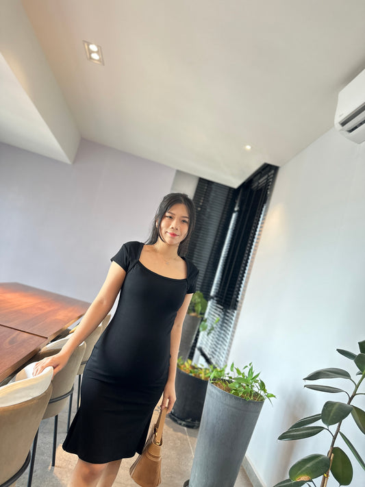 Melanie  Fitted Cotton Dress