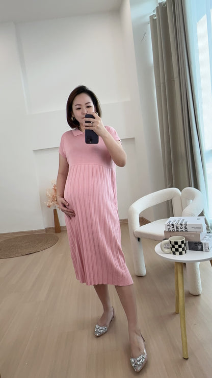 Dion Stretchable Knits Dress