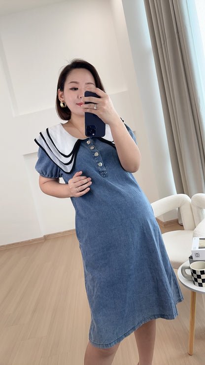 Veo Denim Dress