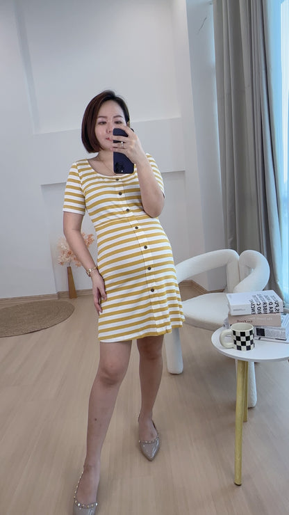 Lovince Lydia Stripes Stretchable Dress