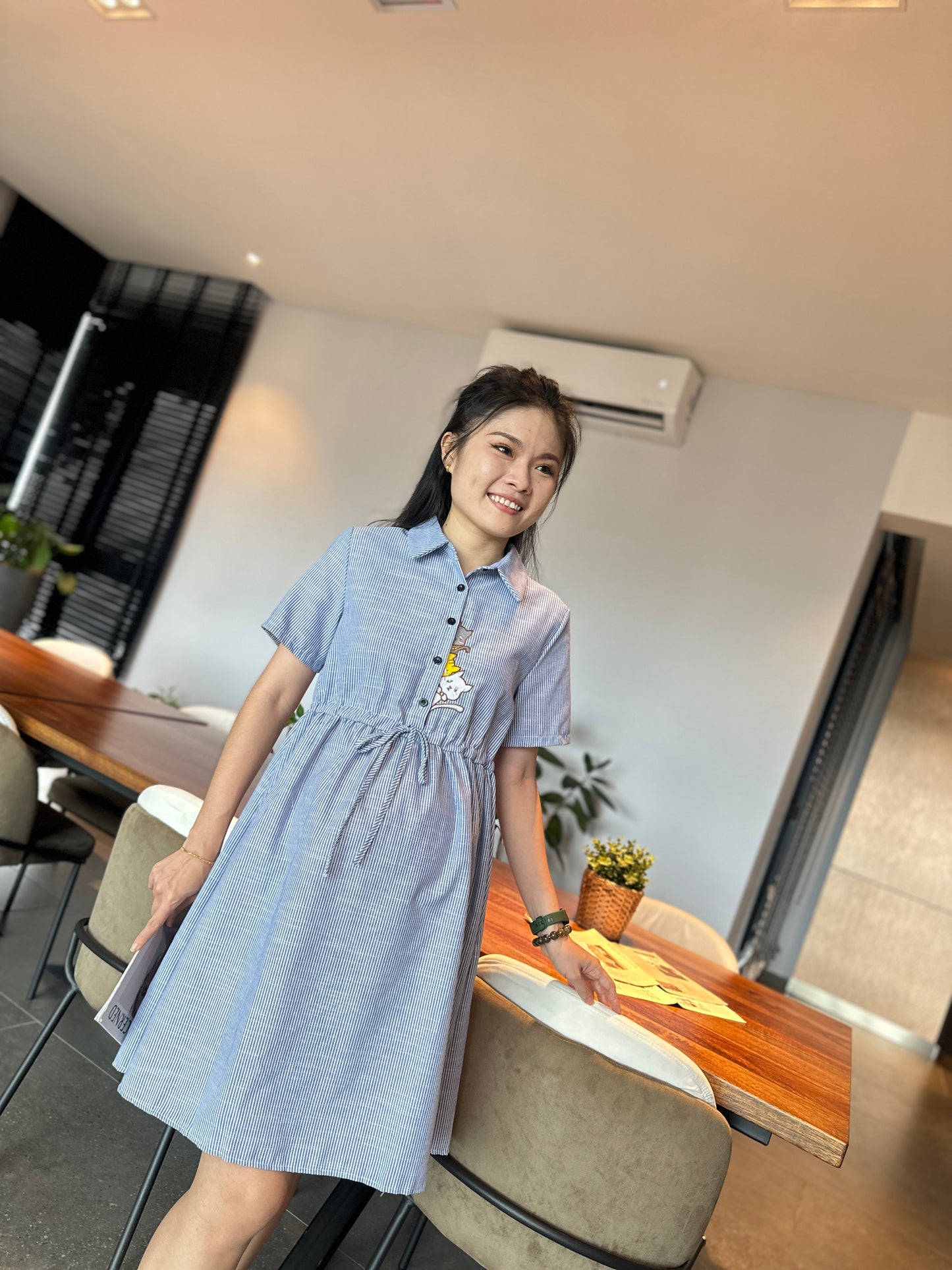 Weyzoe  Kitten Blue Stripes Dress