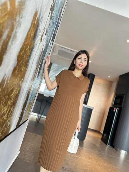 Dion Stretchable Knits Dress