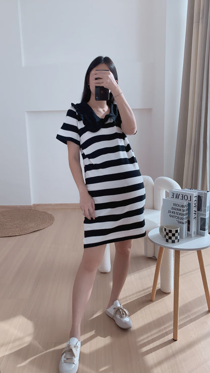 Carla Stripes Knits Dress