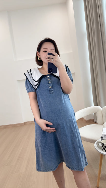 Veo Denim Dress