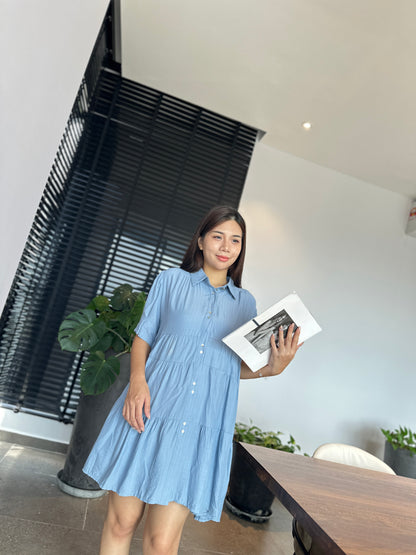 Lrene Button Flare Dress