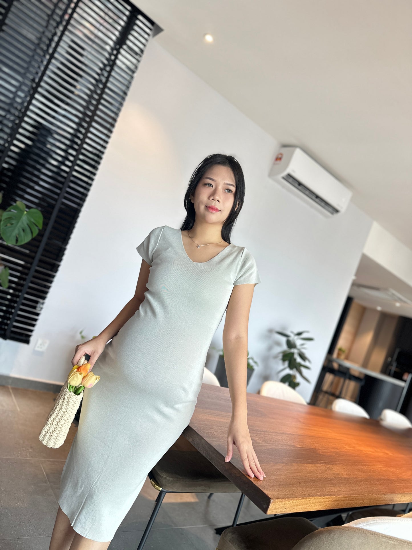 Daphne Fitted Knits Dress