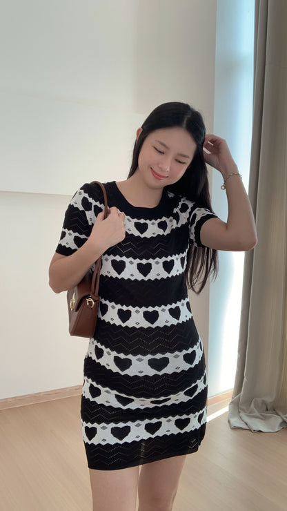 Nellyn Knits Sleeved Dress