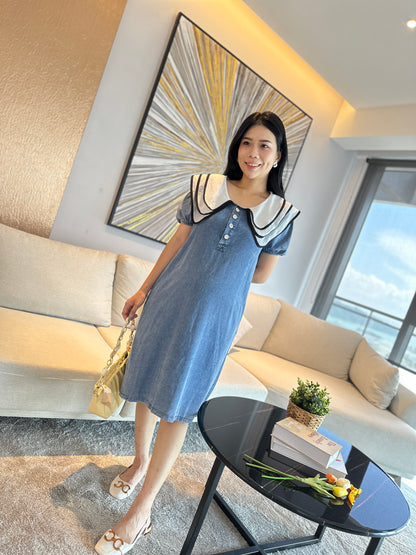 Veo Denim Dress