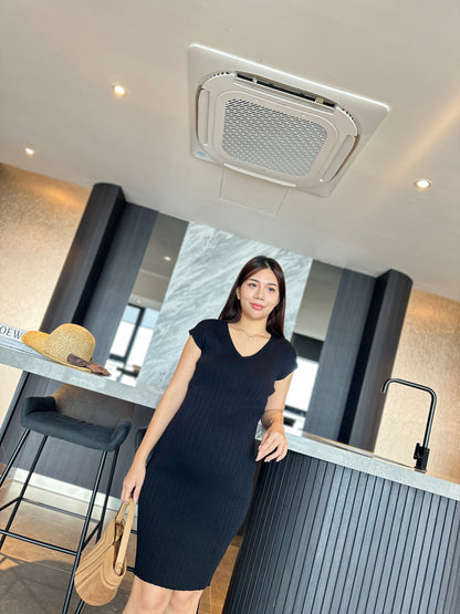 Viion Fitted Knits Dress