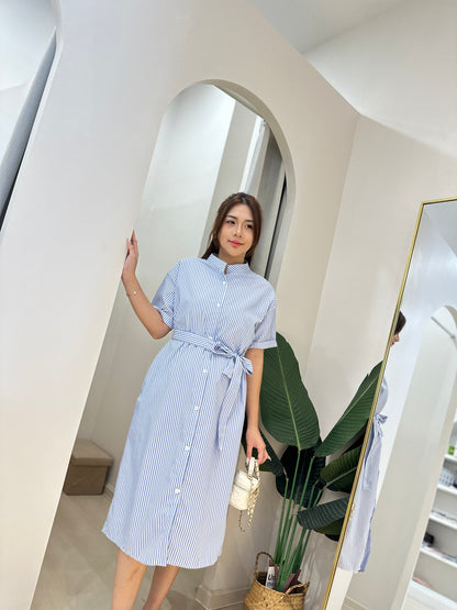 Josefina Stripes Waist Belt Dress