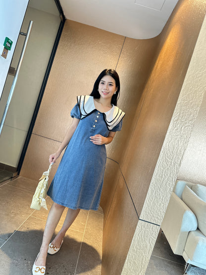 Veo Denim Dress