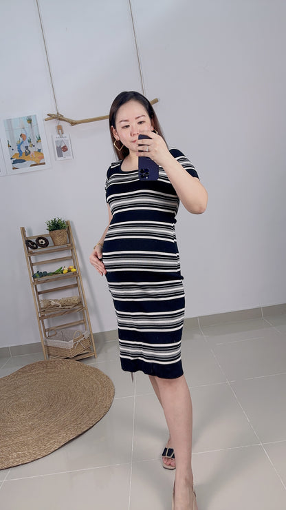 Vayne Stripes Stretchy Knits Dress