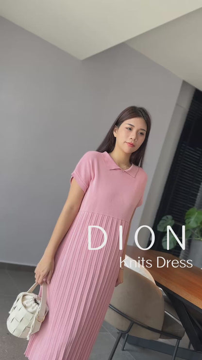 Dion Stretchable Knits Dress