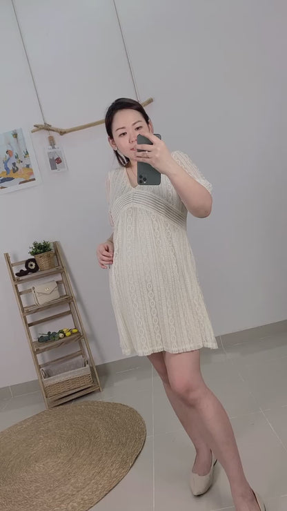 Vinns Eyelet Sleeves Dress