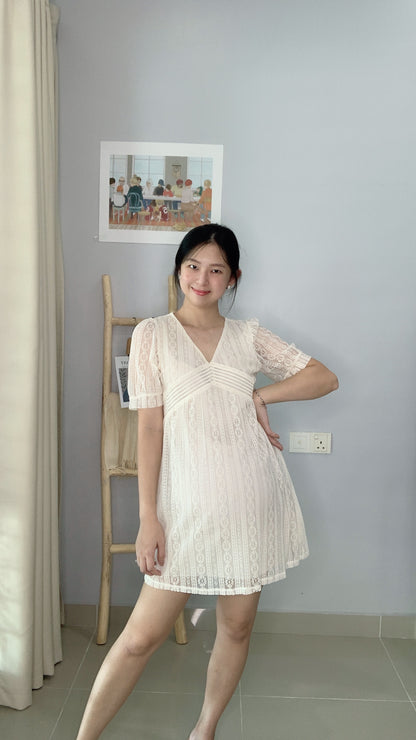 Vinns Eyelet Sleeves Dress