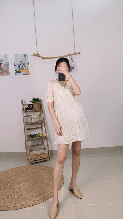 Vinns Eyelet Sleeves Dress