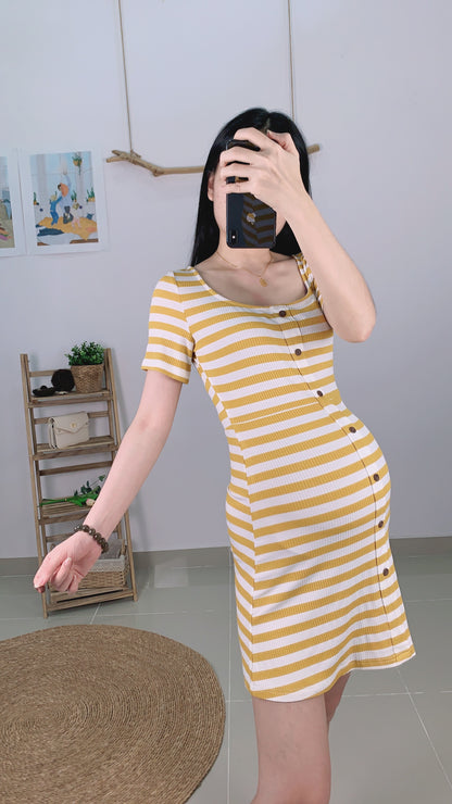 Lovince Lydia Stripes Stretchable Dress