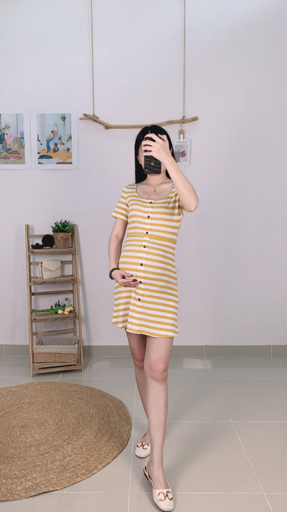 Lovince Lydia Stripes Stretchable Dress