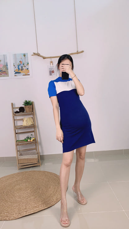 Kayron Knitted Dress